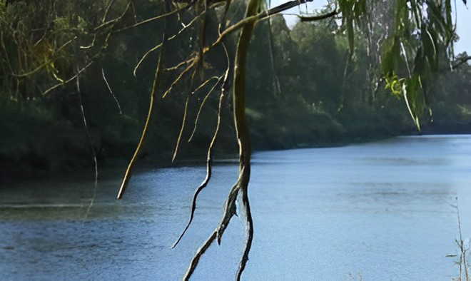 Reserva Natural Marisma del Burro