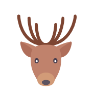 page-icon