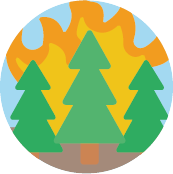 page-icon