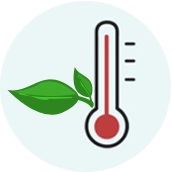 page-icon