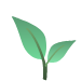 page-icon