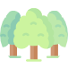 page-icon