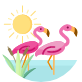 page-icon