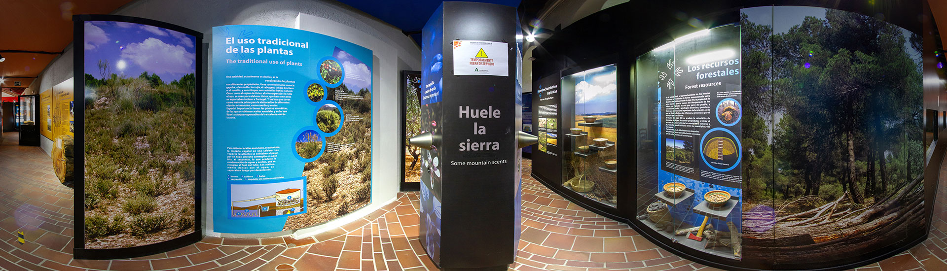 Entre el ser humano y la naturaleza