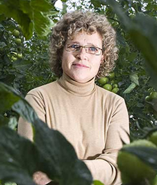 Dolores Ascensión Gómez Ferrón.