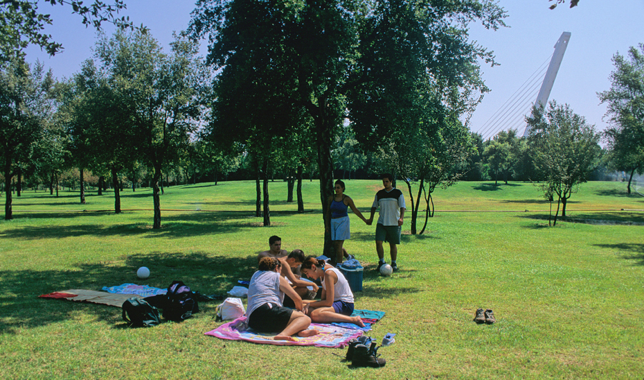 El Parque del Alamillo, inaugurado el 12 de octubre de 1993, ocupa 120 hectáreas en la zona norte de La Cartuja, en Sevilla.