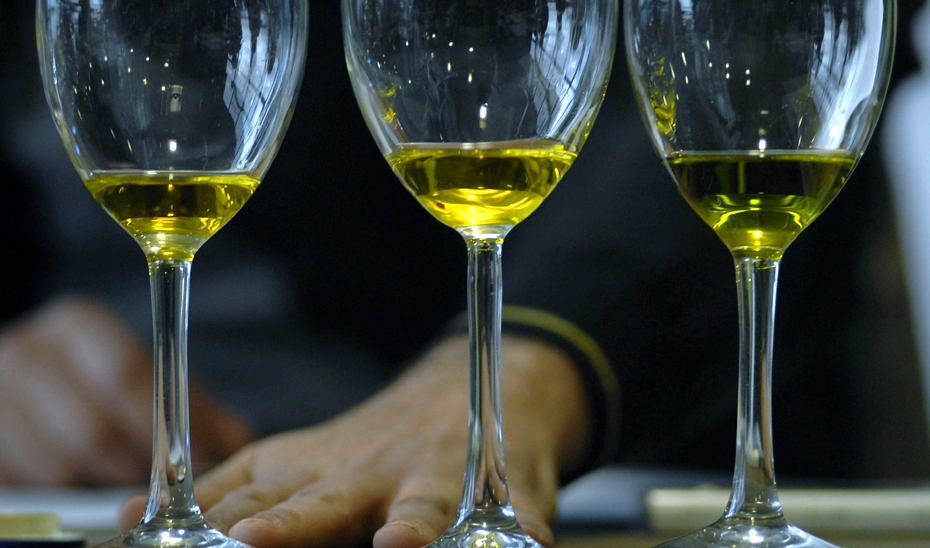 Distintos tipos de aceite de oliva (Foto: EFE)