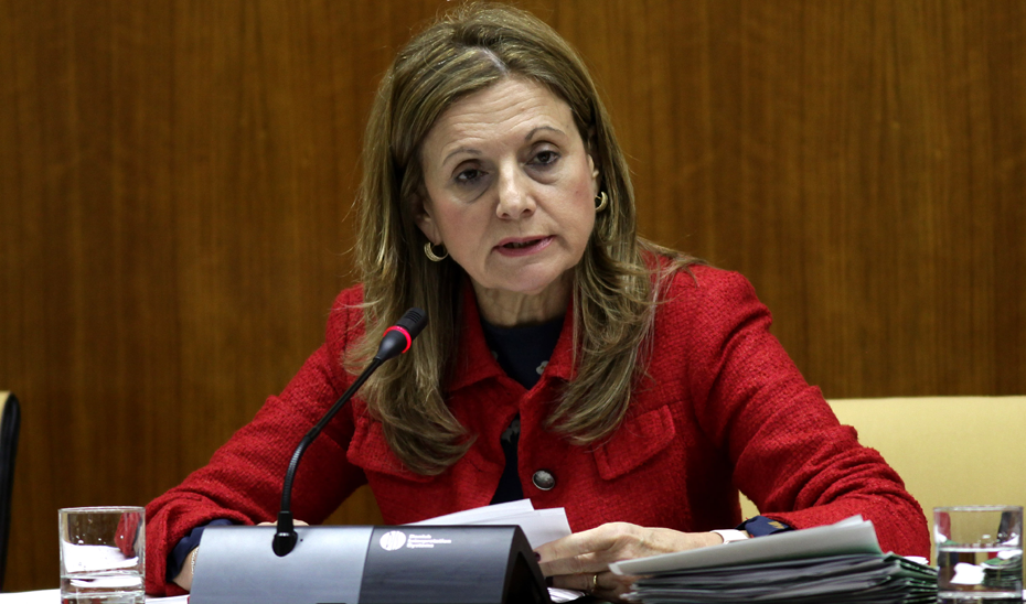 Marina Álvarez en comisión parlamentaria