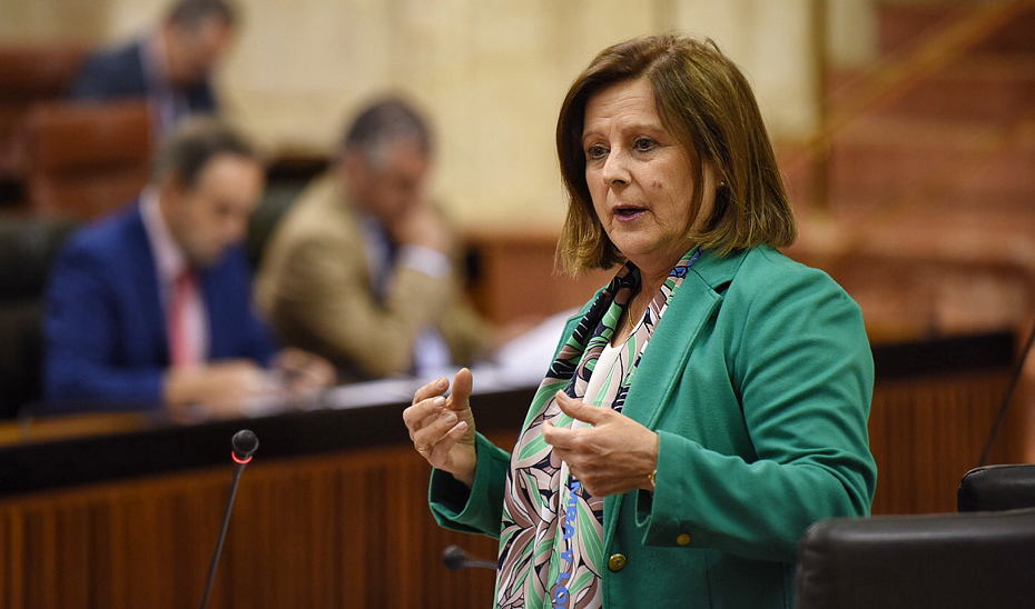 La consejera de Igualdad y Políticas Sociales, María José Sánchez Rubio, ha destacado en el Parlamento andaluz que es un nuevo servicio de atención psicológica y jurídica urgente que se activa ante las llamadas por agresiones sexuales.