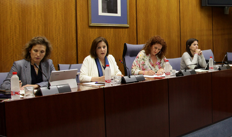 Comisión sobre Políticas para la Protección de la Infancia en Andalucía.