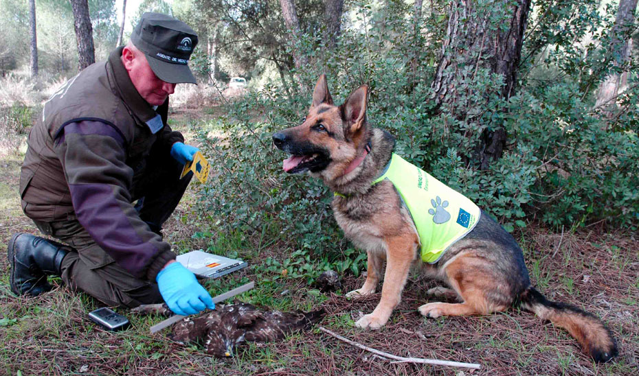 Imagen de la unidad canina de lucha contra el veneno.