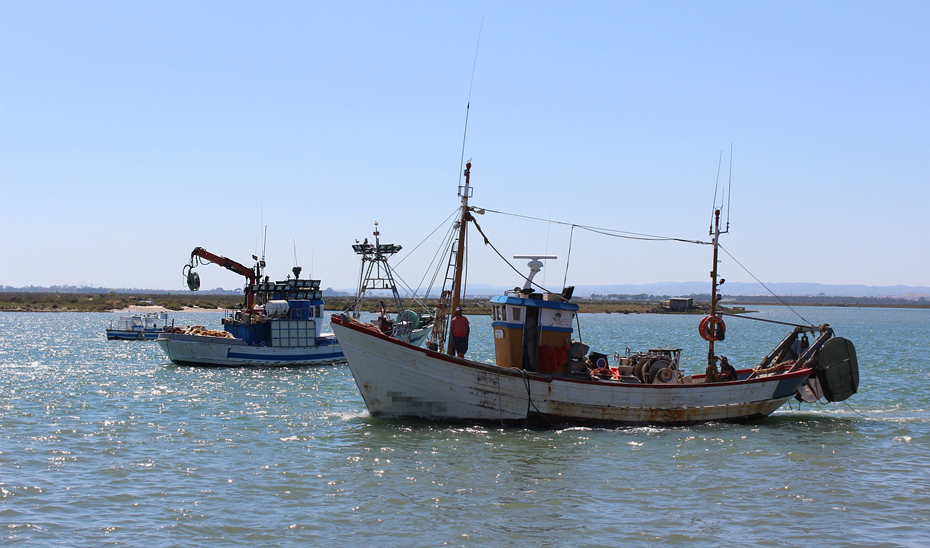 Varios barcos pesqueros de arrastre y cerco.