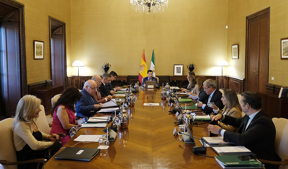 Imagen de archivo de una reunión del Consejo de Gobierno presidido por Juanma Moreno.