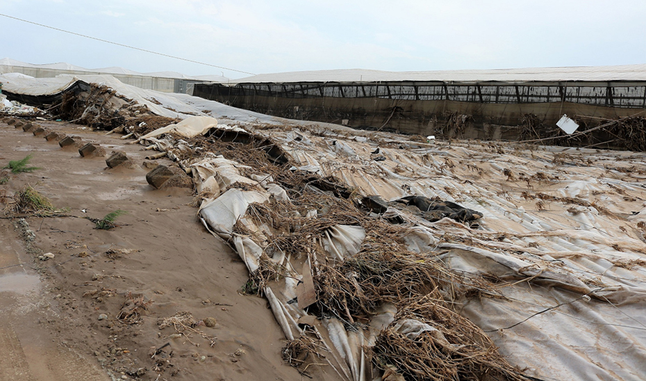 Destrozos causados por la DANA en un invernadero de Almería durante el temporal del pasado mes de septiembre.