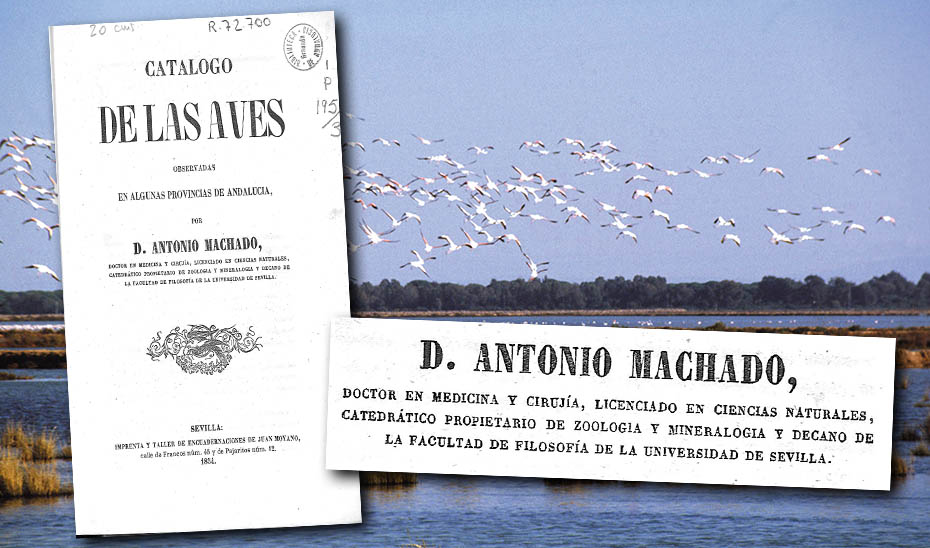 Portada del estudio realizado en 1854 por Antonio Machado y Núñez sobre las aves de Sevilla, Huelva y Cádiz.