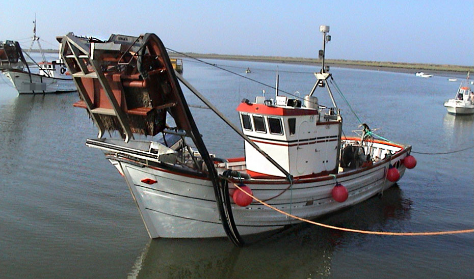 Andalucía ha modificado las condiciones para acceder a las ayudas destinadas al sector pesquero.