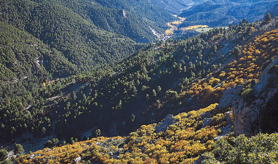 Imagen del artículo Aprobada la formulación del PORN del ámbito del Parque Natural Sierra de Castril, en Granada