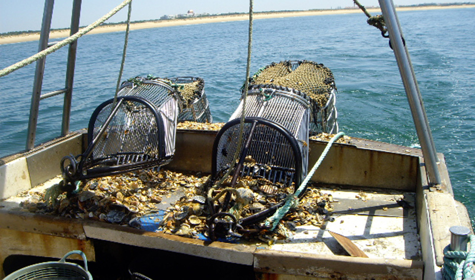 Artes de la pesca de arrastre usada por la flota del Golfo de Cádiz. Artes de la pesca de arrastre usada por la flota del Golfo de Cádiz.