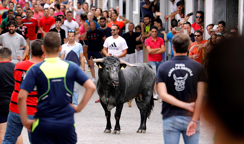 Imagen del artículo Andalucía acogió 682 festejos taurinos durante 2023, 17 más que en el año anterior