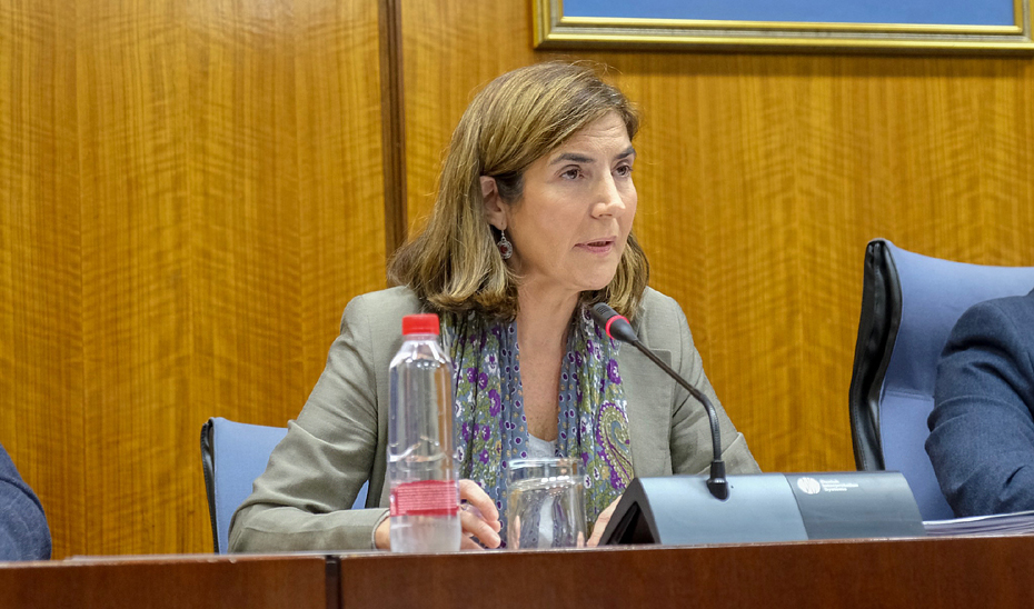 Rocío Blanco comparece en comisión en el Parlamento andaluz.