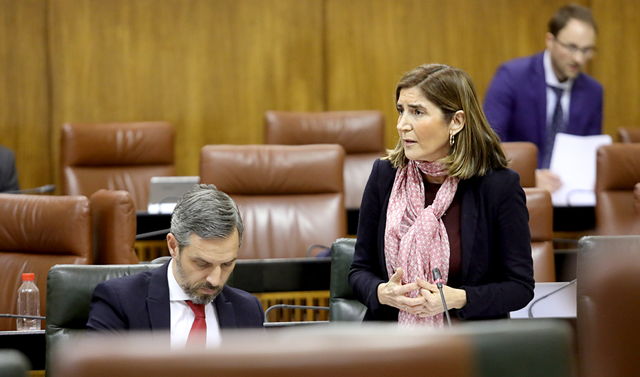La consejera de Empleo, Formación y Trabajo Autónomo, Rocío Blanco, en la sesión de control del Parlamento.