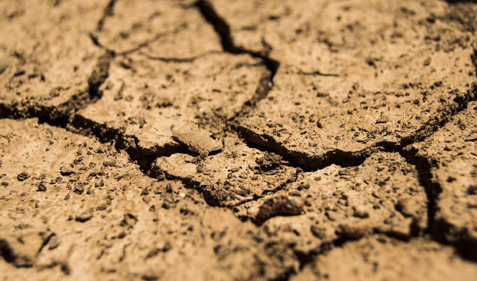 El cambio climático produce más frecuentes, prolongados e intensos periodos de sequía.