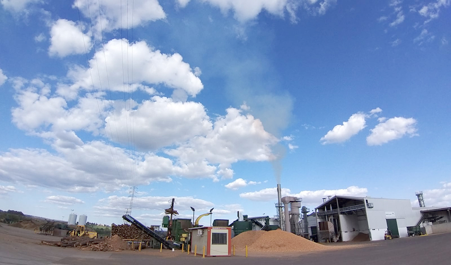 Una planta de producción de biomasa en pleno funcionamiento.