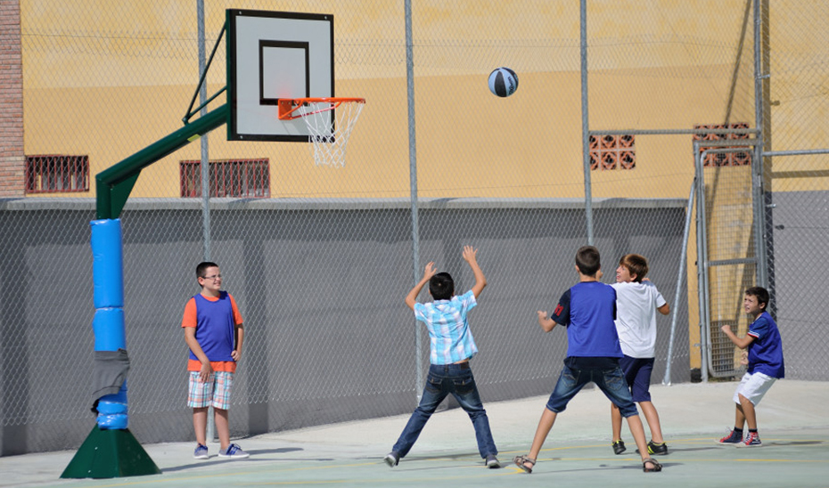 
			      El Programa de Escuelas Deportivas se desarrolla en unos 700 centros y se benefician más de 40.000 estudiantes.			    
			  