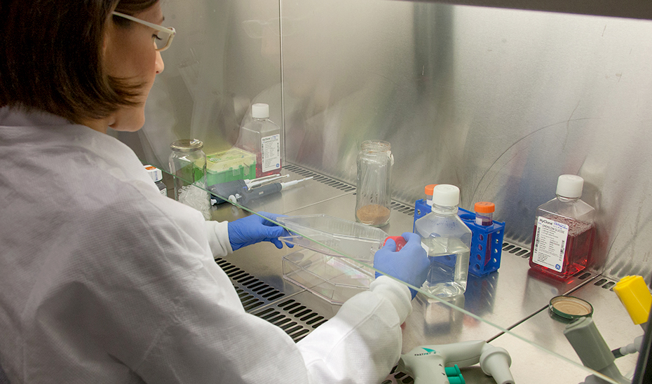 Una profesional realizando una investigación en un laboratorio.