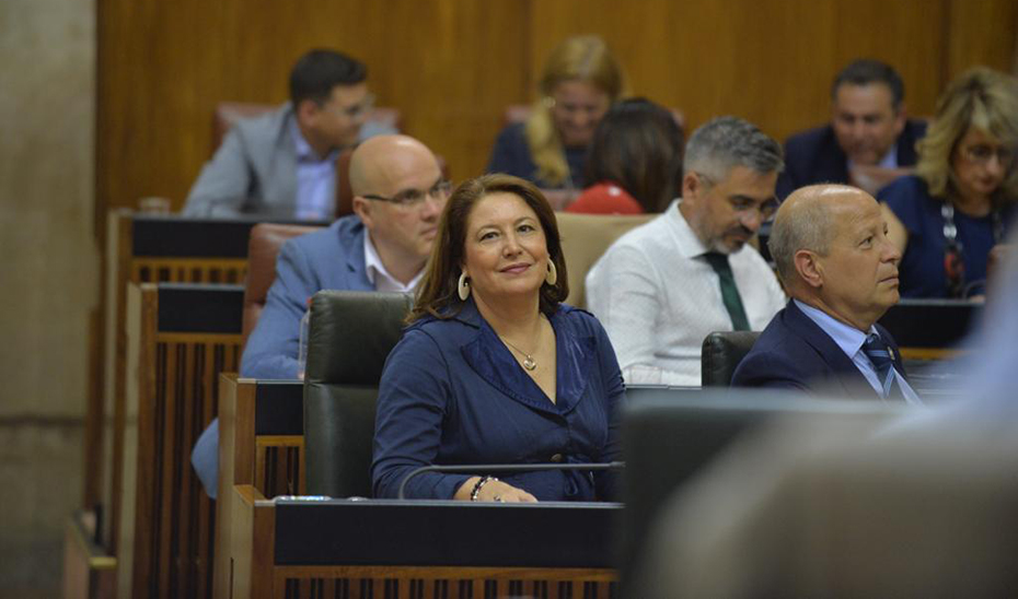 Carmen Crespo, en el Parlamento, durante la celebración de la sesión de control.