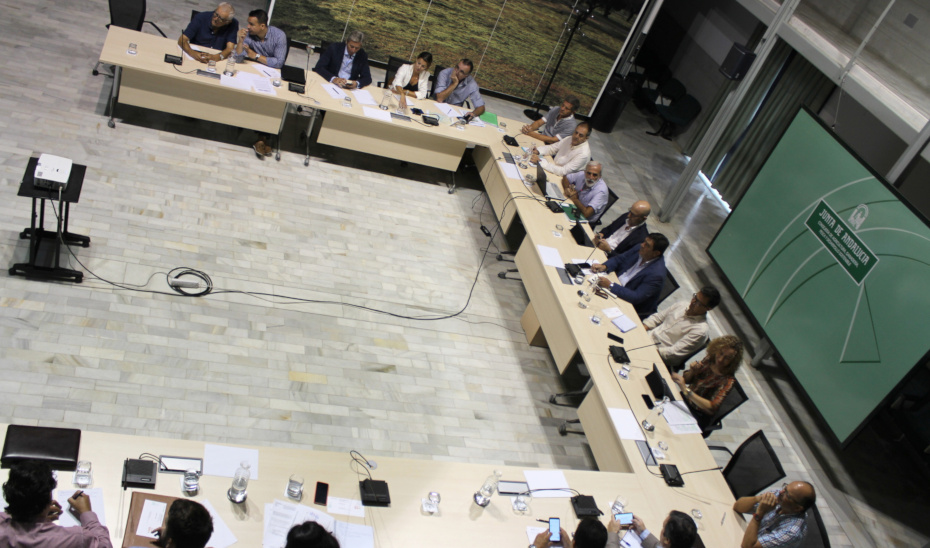 Reunión con representantes del sector del olivar de Andalucía para presentar los datos del aforo.