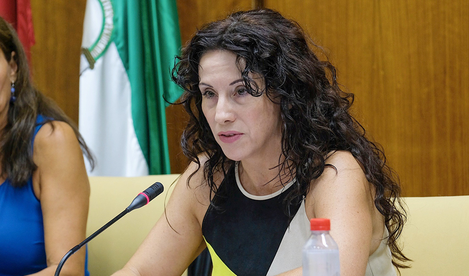 La consejera de Igualdad, Políticas Sociales y Conciliación, Rocío Ruiz, en su comparecencia parlamentaria.