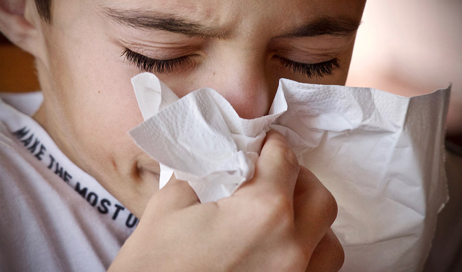 
			      La Consejería recomienda usar pañuelos de un solo uso en caso de gripe y catarro.			    
			  