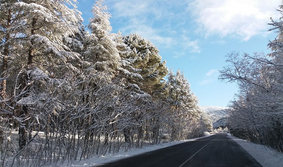 Carretera con nieve.