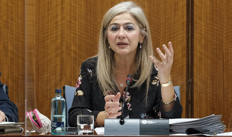 Patricia del Pozo, durante su intervención en la Comisión de Cultura y Patrimonio Histórico en el Parlamento de Andalucía. 