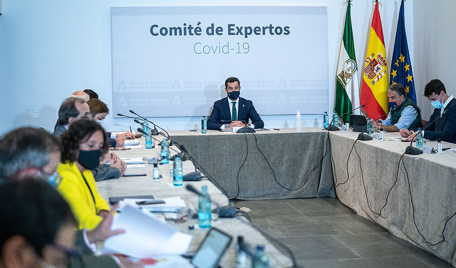 El presidente presidiendo la reunión del Comité de Expertos.