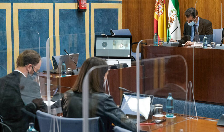 La consejera Rocío Blanco ha intervenido telemáticamente en la comisión parlamentaria.