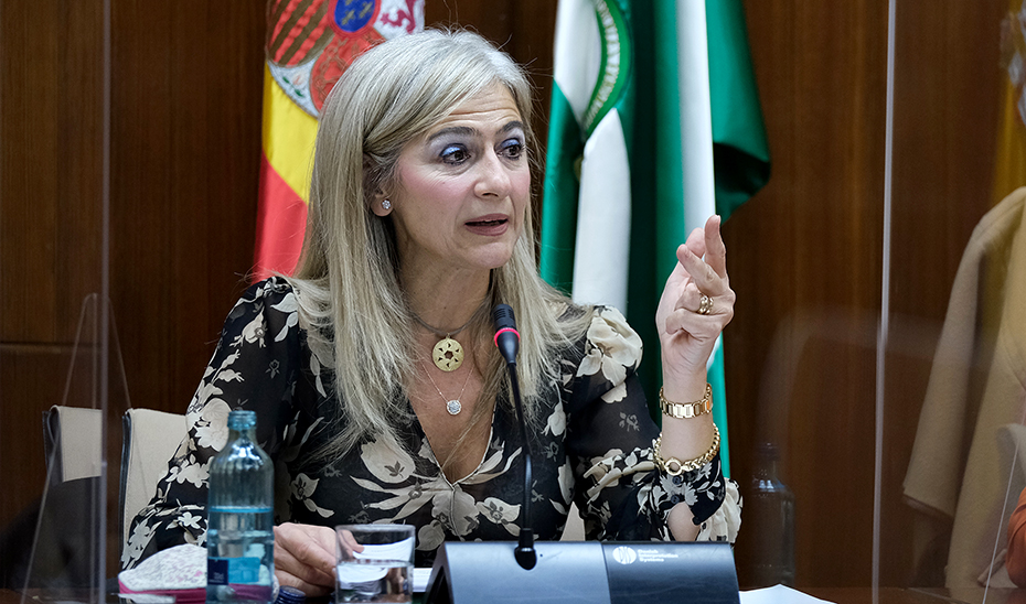 La consejera Patricia del Pozo expone el presupuesto de su consejería en el Parlamento.