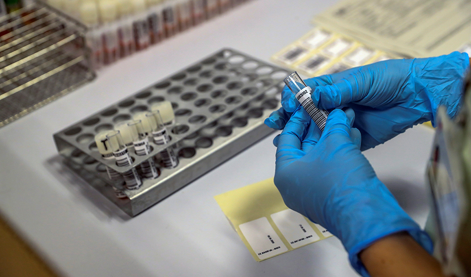 Personal sanitario con muestras de sangre en un laboratorio de análisis clínico (Foto: Efe).