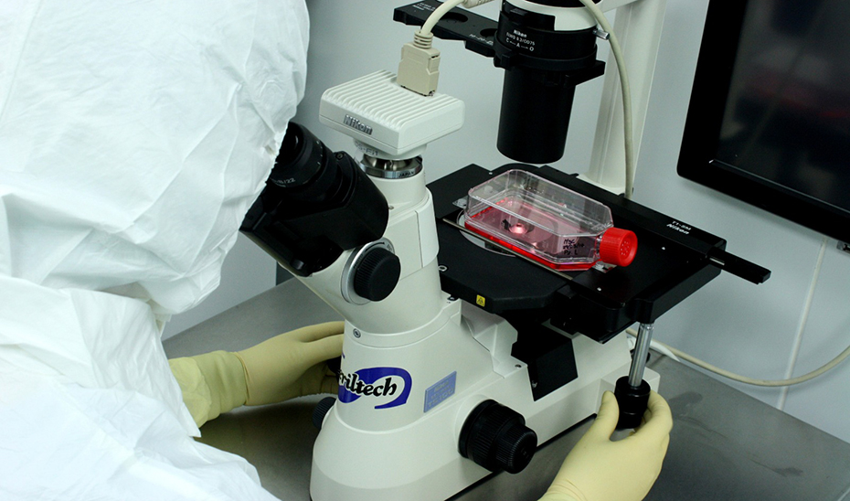 Un investigador observa unas muestras a través de un microscopio.