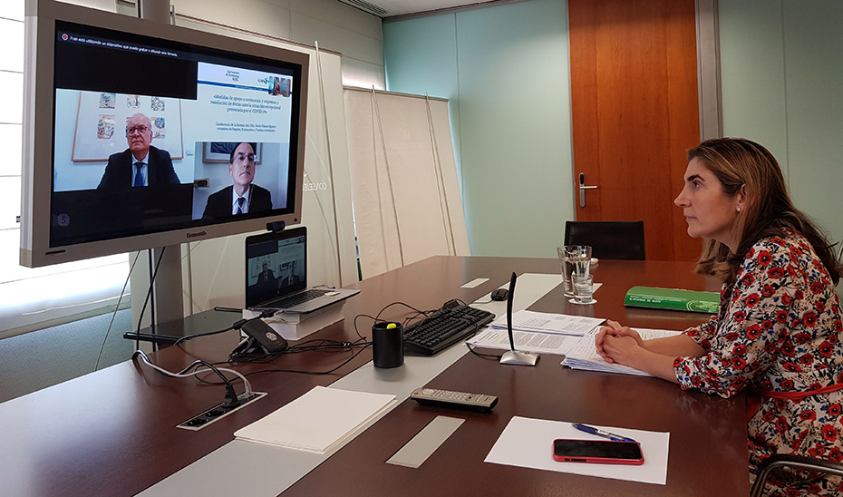 La consejera Rocío Blanco durante la videoconferencia.
