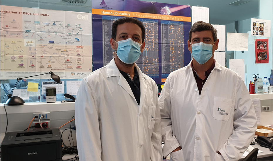 Los científicos Francisco Martín Molina y Karim Benabdellah posando en las instalaciones del centro Genyo de Granada.