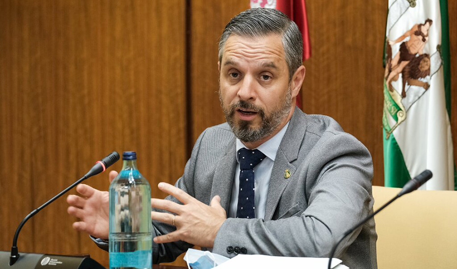 Juan Bravo durante su comparecencia ante la comisión parlamentaria.