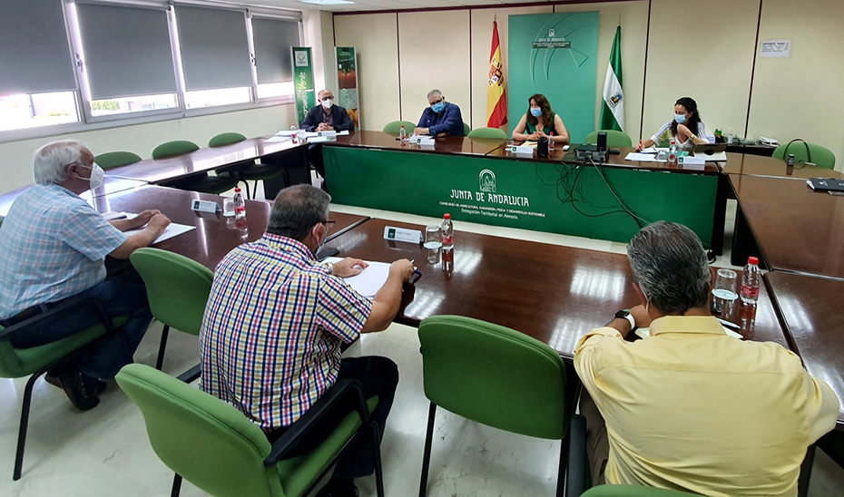 La consejera de Agricutura, Carmen Crespo, dirigiéndose a los representantes de Coexphal en la reunión mantenida este viernes.
