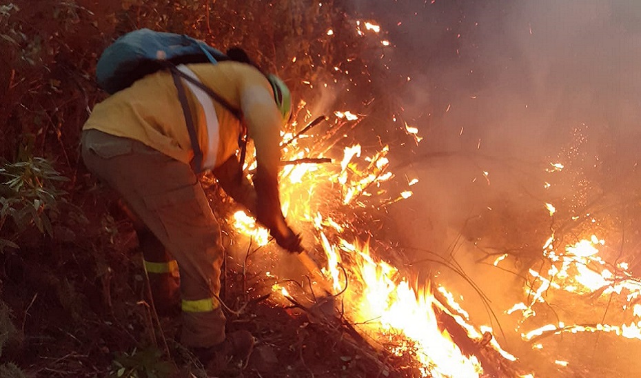 Un bombero sofoca las llamas del incendio iniciado el 27 de agosto en término municipal de Almonaster, declarado ya extinguido.