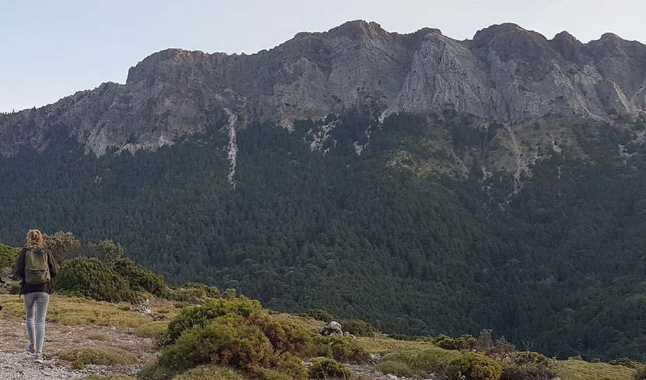 Una senderista camina por la Sierra de Grazalema, con el pinsapar al fondo. (Foto: Paco Gil)