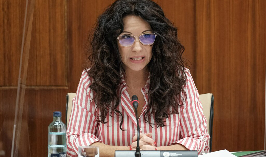 La consejera Rocío Ruiz, durante su comparecencia en el Parlamento.