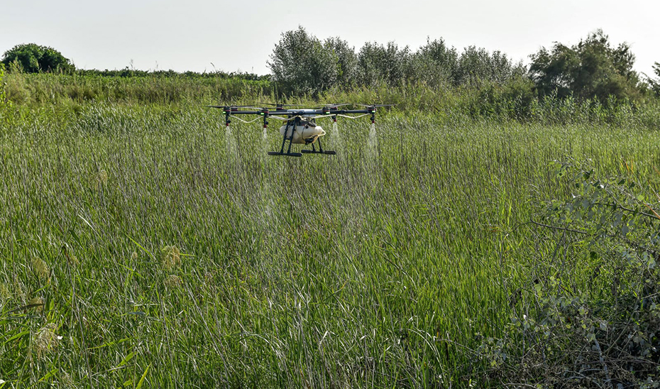 Un dron en plenas tareas de fumigación.