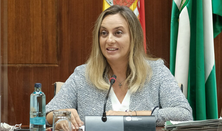 La consejera Marifrán Carazo en un momento de su intervención ante la comisión del Parlamento.