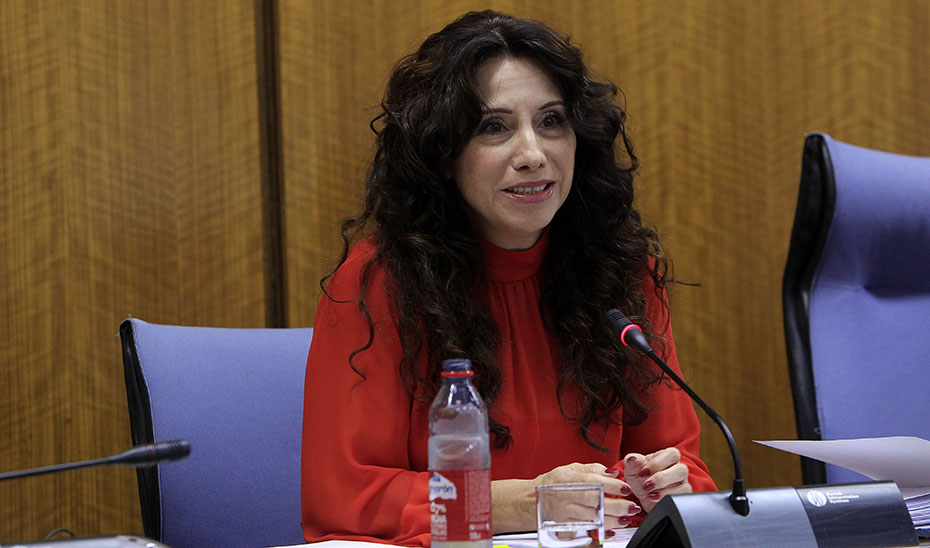 La consejera Rocío Ruiz este jueves compareciendo ante la Comisión de Igualdad del Parlamento de Andalucía.